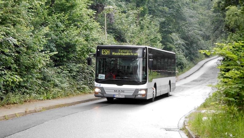 Nachtigallstr, kurz vor der Ausfahrt des Parkplatzes
